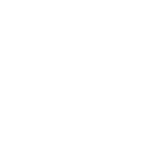 Toyota Logo